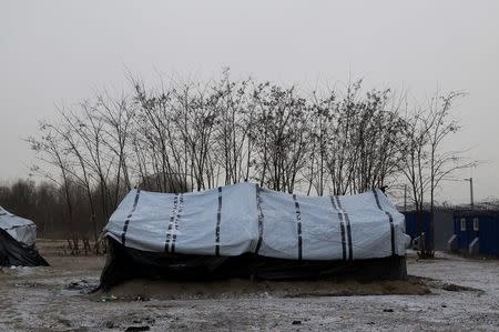 A tent is seen at a makeshift camp in the transit zone on the Serbian-Hungarian border near Horgos, Serbia January 9, 2017. REUTERS/Bernadett Szabo