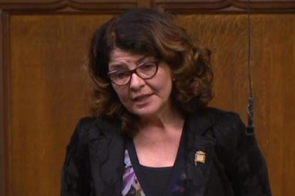 MP Diana Johnson said she has been accused of being a traitor (Parliament TV)