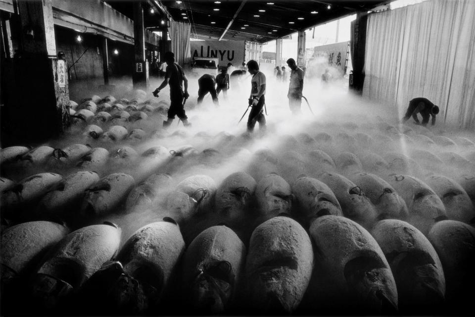 ▲攝影家沈昭良作品《築地魚市場》(1993-2009)。(本圖由沈昭良提供)