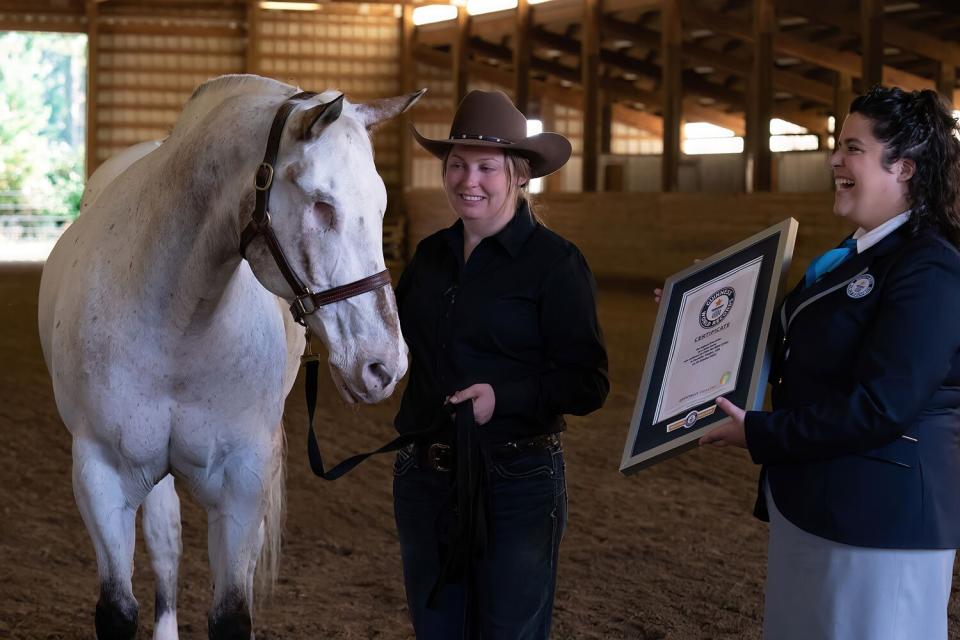 HORSE WITHOUT EYES ACHIEVES THREE WORLD RECORDS