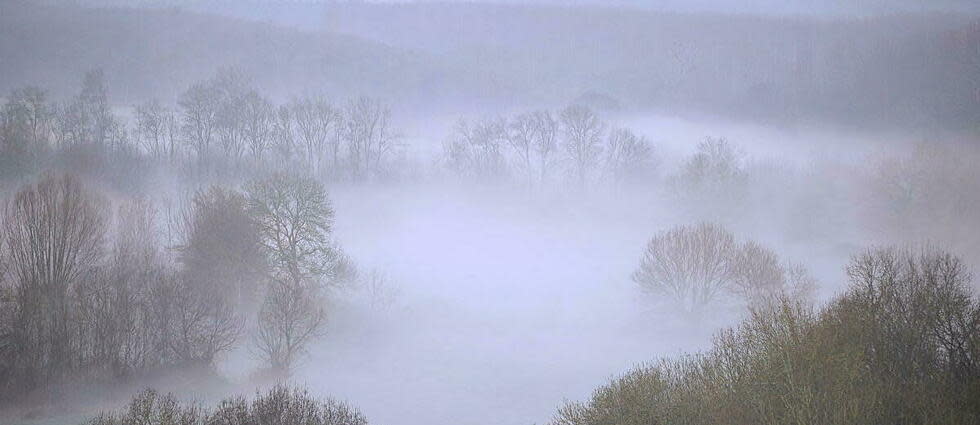 La météo de ce mardi devrait être marquée par d'importants brouillard sur la partie nord du pays, avant que le soleil ne progresse plus nettement.
