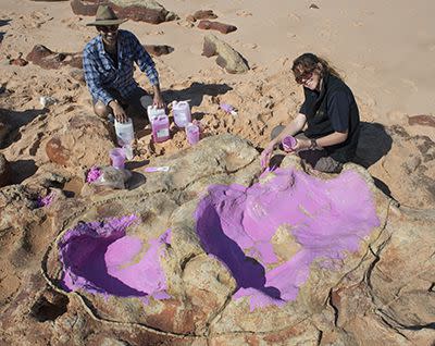 Paleontologists document dinosaur tracks on Australia's Dampier Peninsula.