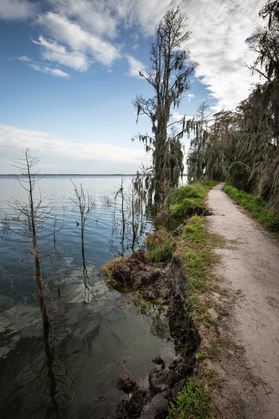 The Florida Department of Health in Polk County has issued a health alert for the presence of harmful blue-green algal toxins in Lake Hancock and Lake Crago in Lakeland and the Lake Mattie Canal in Auburndale.