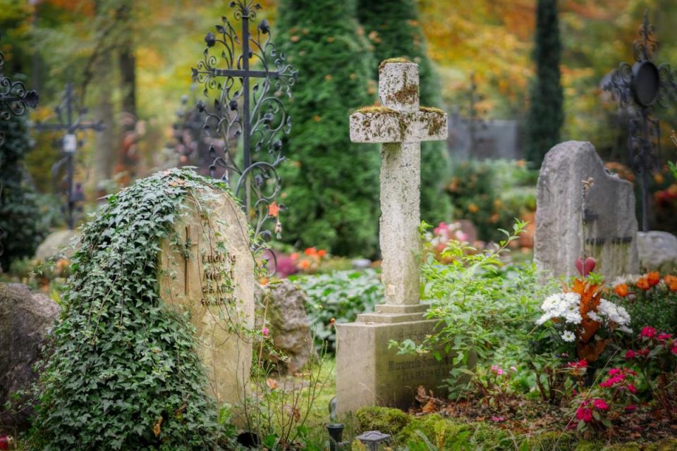 Image of Grave. Image by Albrecht Fietz from Pixabay <i>(Image: Image of Grave. Image by Albrecht Fietz from Pixabay)</i>