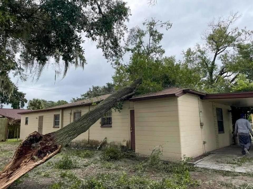 A tree is seen on top of Barbara Glover’s home after it fell during Hurricane Ian last year.