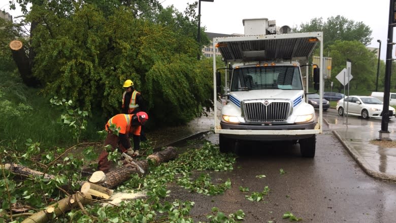 Edmonton city crews busy cleaning up after Wednesday's storm