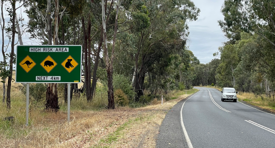 A car on a remote road. There is a kangaroo sign to the side.