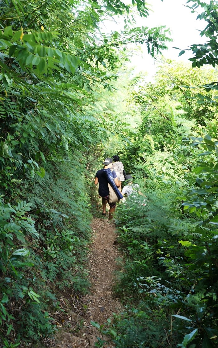 Wear proper shoes: Walking down from the cliff's edge to the beach would take less than an hour, but the rather precipitous trek between the trees might slow you down a bit.