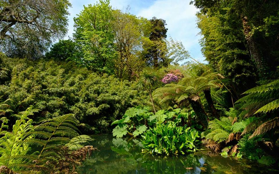 Lost Gardens of Heligan