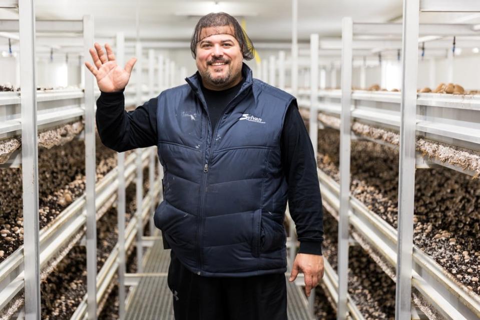 Mike Medeiros is the co-owner of Carleton Mushroom Farms. 