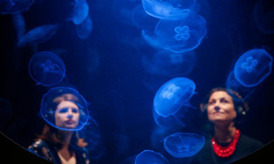 They are winning … Rimini Protokoll’s immersive jellyfish installation.