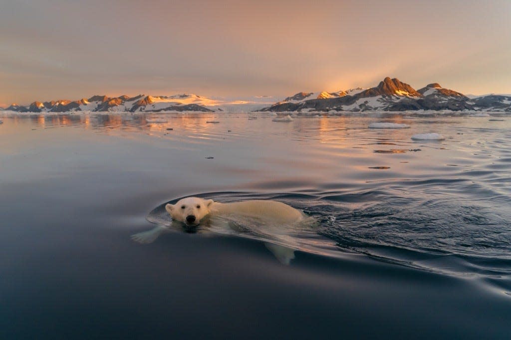 Photography by National Geographic photographer and Canon "Explorer of Light" Keith Ladzinski.