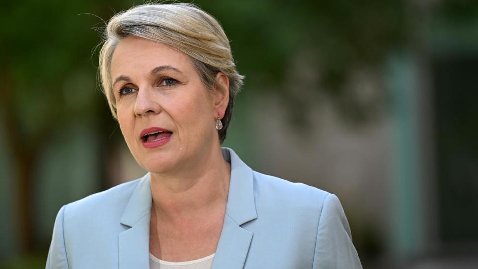 Environment Minister Tanya Plibersek