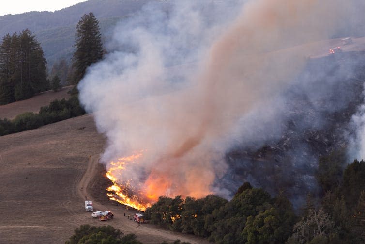 A plume of smoke rises above a forest fire, which is being monitored by fire trucks.