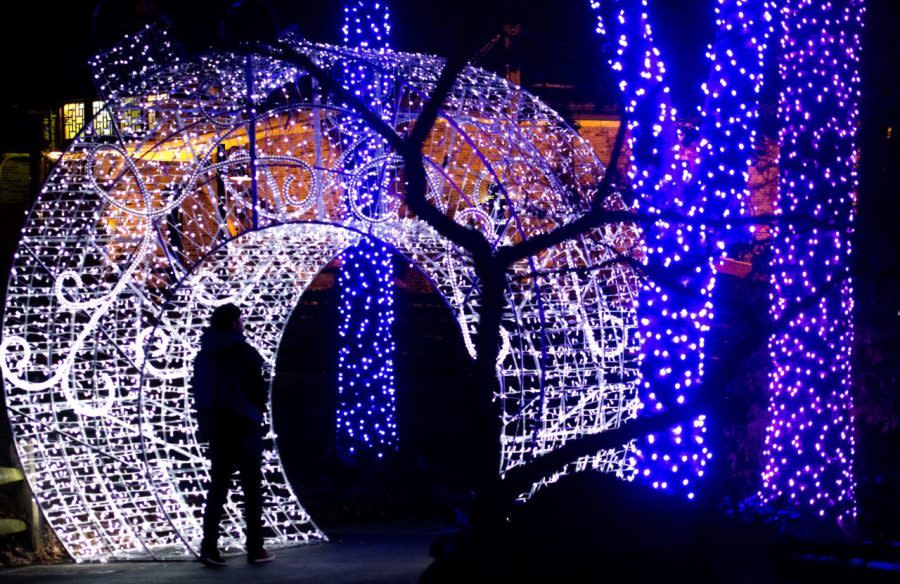 Wild Winter Lights at the Cleveland Metroparks Zoo on November 19, 2019 during the “Walk Through” (Kyle Lanzer/Cleveland Metroparks)