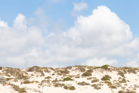 Dunes at Comporta - Credit: Getty