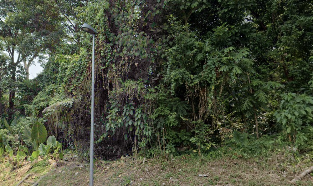 Forested area at Lorong Sesuai. (SCREENSHOT: Google Maps)