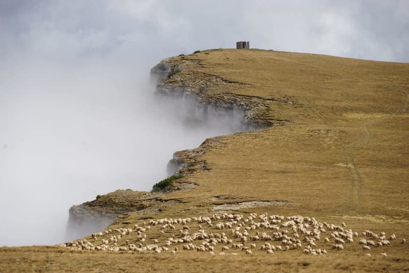 Romania's Carpathians (this spot is around a two-hour drive from Bucharest airport) are now even easier to reach for people in the Schengen zone, now that passports are no longer being checked. Robert Günther/dpa