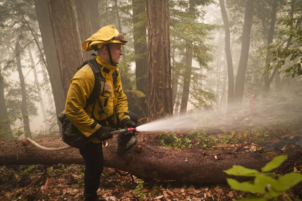 Karol Markowski, of th South Pasadena Fire Department, hoses down hot spots while fighting the CZU August Lightning Complex Fire Saturday, Aug. 22, 2020, in Boulder Creek, Calif. (AP Photo/Marcio Jose Sanchez)