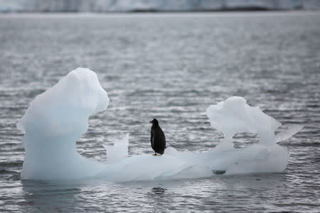 FOTO DE ARCHIVO: Un pingüino se encuentra en un iceberg en Yankee Harbor, Antártida, 18 de febrero de 2018. Reuters/Alexandre Meneghini/File Photo