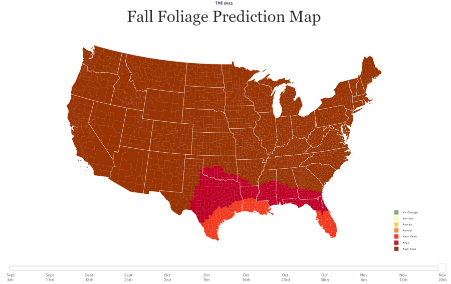 Fall foliage predictions for the week of Nov. 20, 2023. (Smokymountains.com)