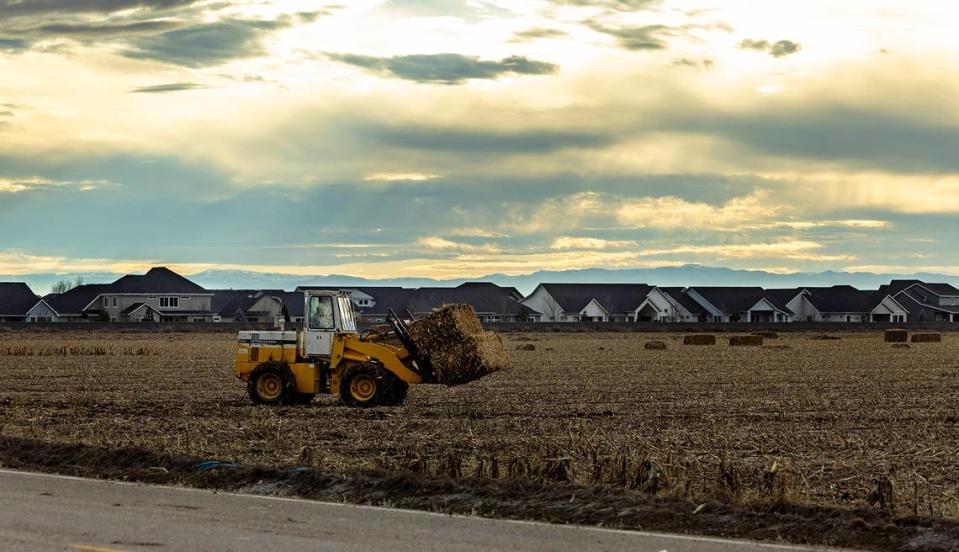 Hay bales are moved on open fields next to a new housing development in Eagle.