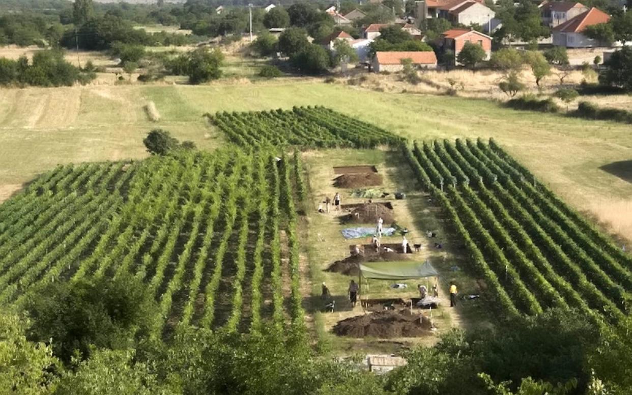 One of the archeological sites in Croatia where the cheese residue was discovered - Andrew M.T. Moore / SWNS.com