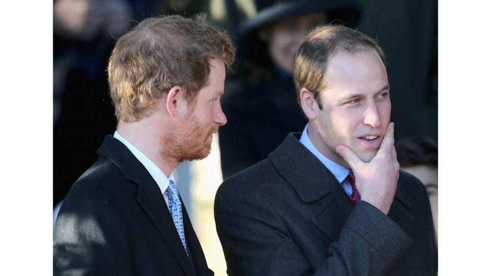 Prince Harry and Prince William in suits with Prince William stroking his chin