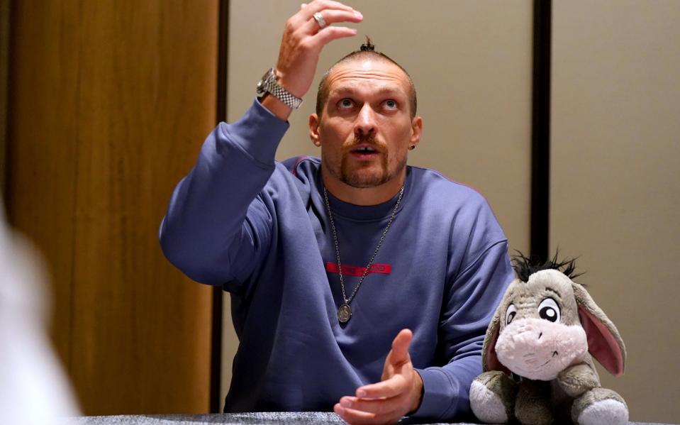 The soft-toy donkey belongs to Oleksandr Usyk's daughter - PA