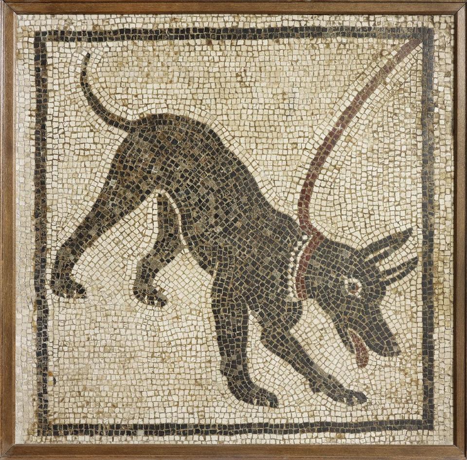 Undated handout photo issued by the British Musuem Thursday Sept. 20, 2012 of a mosaic of a guard dog from the House of Orpheus, Pompeii, 1st century AD, Italy as dozens of objects recovered from the ruins of Roman cities Pompeii and Herculaneum will go on show outside Italy for the first time at a new exhibition at the museum. The two cities on the Bay of Naples were wiped out by the eruption of Mount Vesuvius in 79 AD. The show will feature objects found in their ruins including jewellery, carbonised food and a baby’s crib that still rocks on its curved runners. The exhibition will run March 28 to Sept. 29, 2013. (AP Photo/The Trustees of the British Museum)