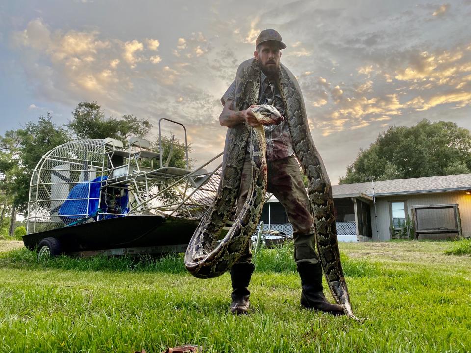 South Florida Water Management District python hunter Mike Kimmel with an estimated 17-foot python he captured June 8 in the Everglades. Kimmel, of Martin County, owns Martin County Trapping and Wildlife Rescue. Photo courtesy Mike Kimmel