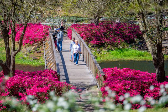 Courtesy of Bellingrath Gardens