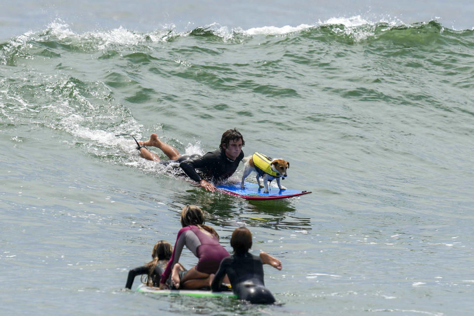 Mauro Canella y su perro Efruz hacen surf en una playa de San Bartolo, Perú, el jueves 25 de enero de 2024. (AP Foto/Martín Mejía)