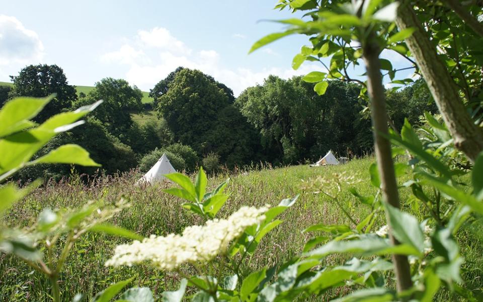 Hidden Valley Camping, Worcestershire