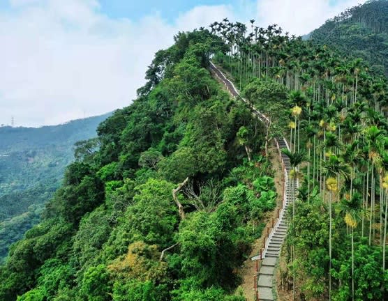 嘉遊好步道　竹崎阿拔泉山步道啟用