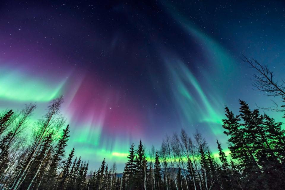 The northern lights in Alaska.