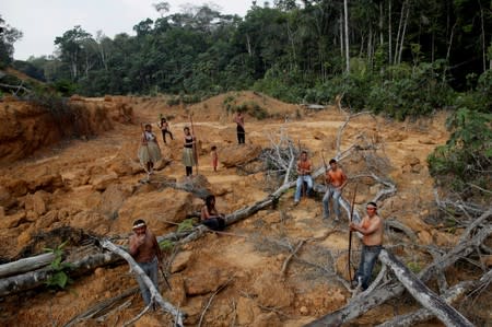 FILE PHOTO: Indigenous people from the Mura tribe shows a deforested area in unmarked indigenous lands inside the Amazon rainforest near Humaita