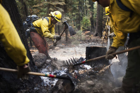 Firefighters from the Sequoia National Forest Cobra 4 hand crew mop up a spot fire on the northern edge of the King Fire in the Tahoe National Forest near French Meadows Reservoir, September 22, 2014. REUTERS/Max Whittaker