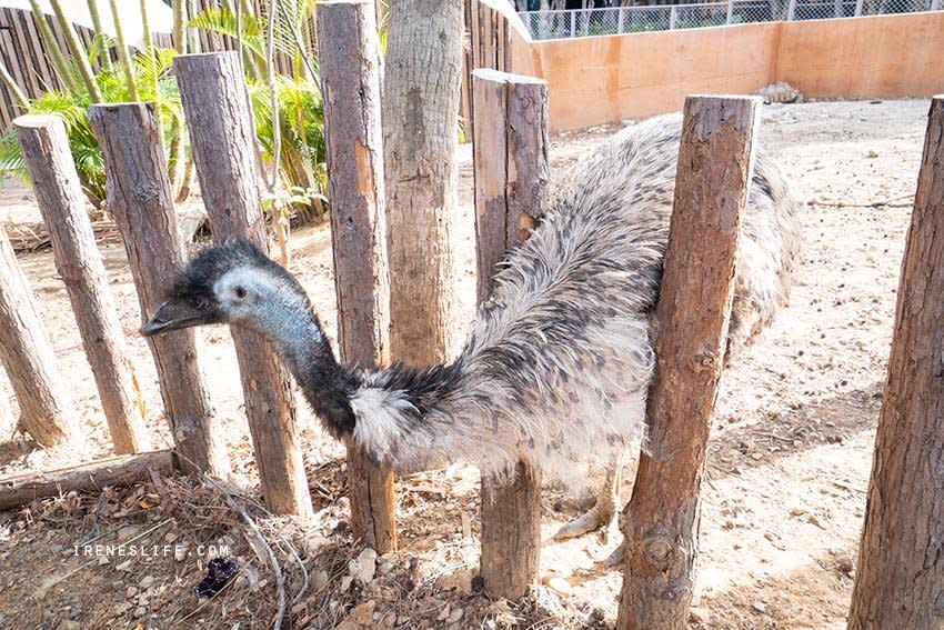 新竹市立動物園