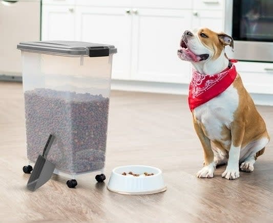 a wheeled dry food storage bin with a scoop, bowl of dog food, and a dog in a kitchen.