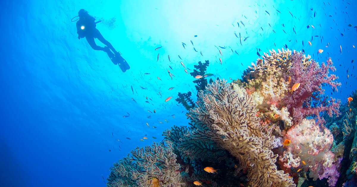 scuba-diving-fears.jpg