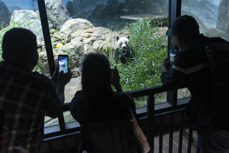 Visitors watch Giant panda Mei Xiang as he eats bamboo in his enclosure at the Smithsonian's National Zoo in Washington, Thursday, Sept. 28, 2023. (AP Photo/Jose Luis Magana)