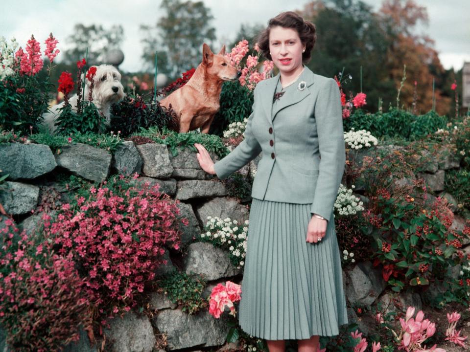 Queen Elizabeth II in the gardens of Balmoral Castle with two of her pet dogs in September 1952
