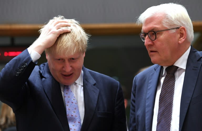 British Foreign Secretary Boris Johnson (left) talks to his German counterpart Frank-Walter Steinmeier before a meeting at the European Council in Brussels, on January 16, 2017