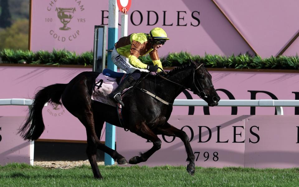 Galopin Des Champs ridden by Paul Townend cross to line to win the Boodles Cheltenham Gold Cup Chase during day four of the Cheltenham Festival 2024 at Cheltenham Racecourse on March 15, 2024 in Cheltenham, England