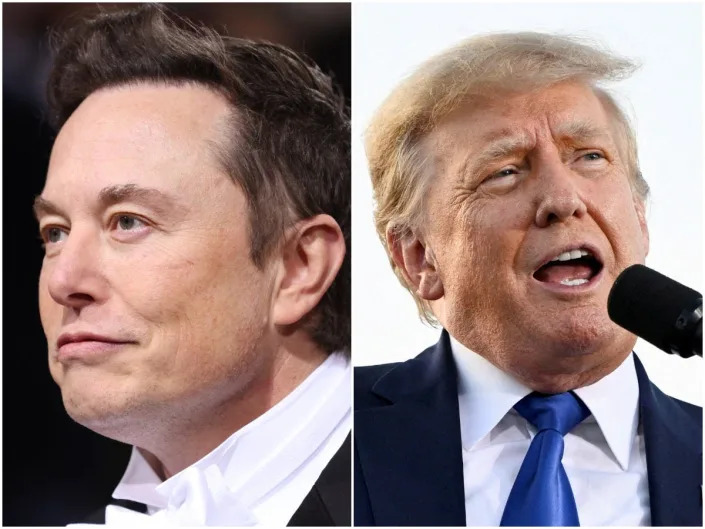 Elon Musk (left) and Donald Trump.