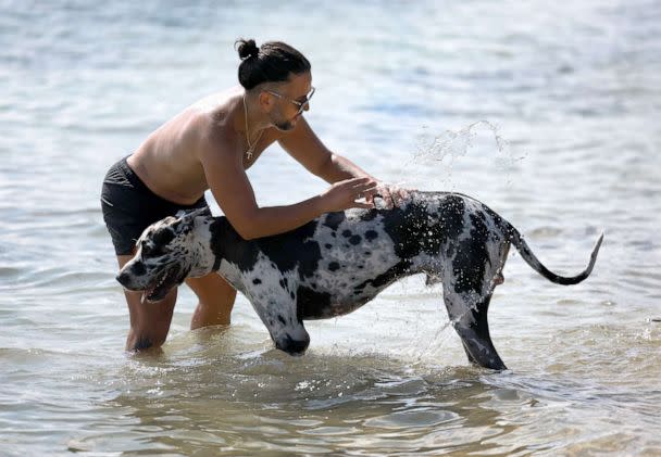 PHOTO: Giacarlo Martinez and his dog Bakkhos stay cool in Biscayne Bay on June 27, 2023 in Miami. Hot summer weather is hitting a large part of the Southern United States. (Joe Raedle/Getty Images)