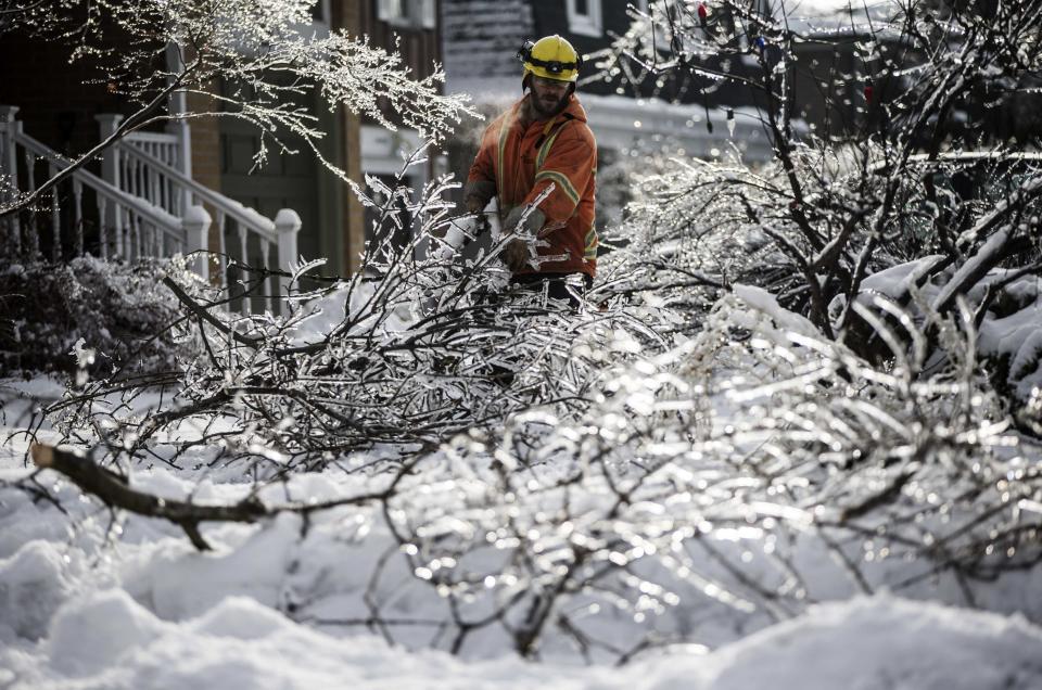 A Toronto Hydro worker cleans tree limbs as he works to restore power in the Scarborough suburb following an ice storm in Toronto