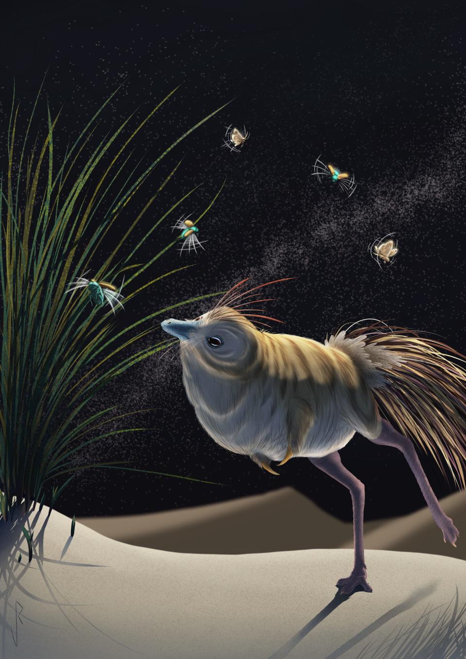 An artist's conception of the little bird-like dinosaur Shuvuuia deserti.