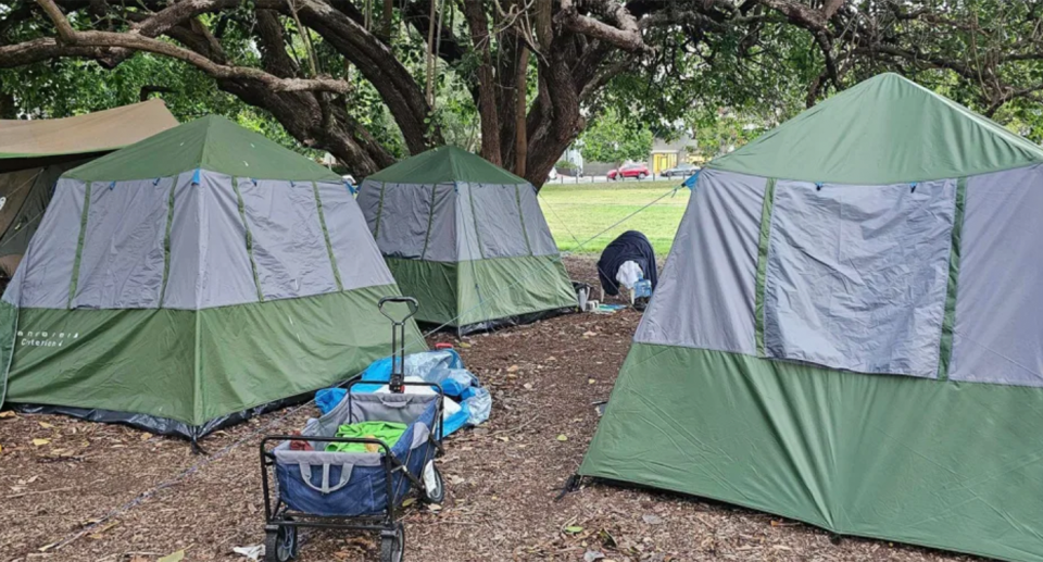 Tents are seen here at Musgrave Park in Brisbane, which has become a pop-up community for those sleeping rough. 